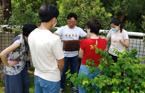 2nd Urban Bee Keeping location @HKUST