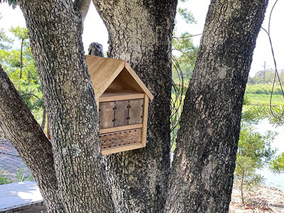 Design and assembling Bee Hotel in Hong Kong